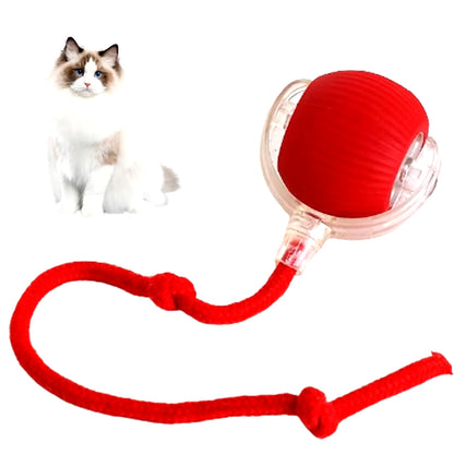 Interactive Rechargeable Rolling Ball for Cats and Dogs - Smart Electric Pet Toy 2024