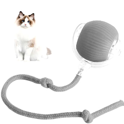 Interactive Rechargeable Rolling Ball for Cats and Dogs - Smart Electric Pet Toy 2024